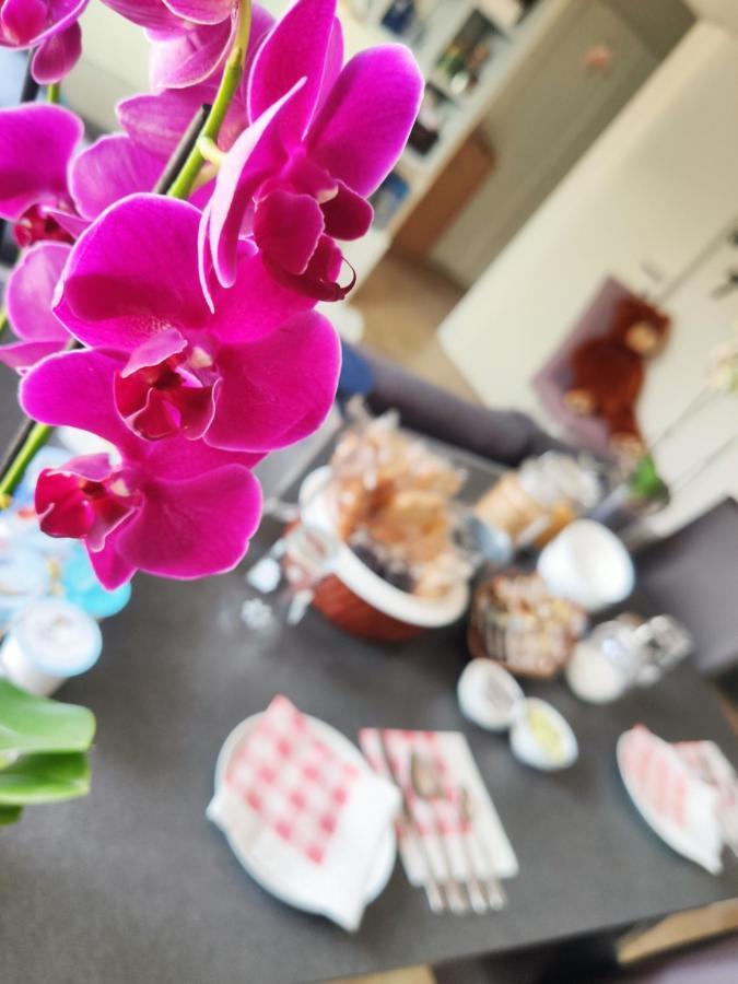 B&B Luvi ורונה מראה חיצוני תמונה